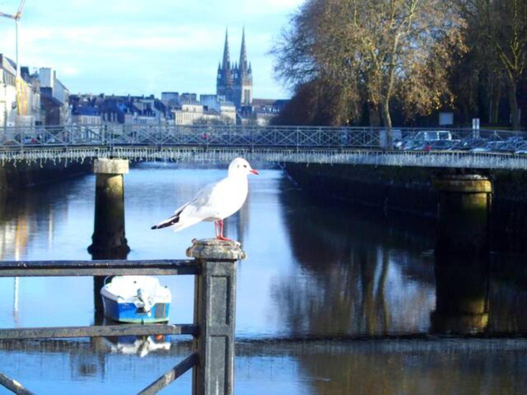 Sweet Home En Plein Coeur De Quimper Exterior foto